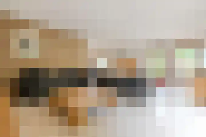 Mantelmeeuwstraat 5 Alkmaar thumbnail 15