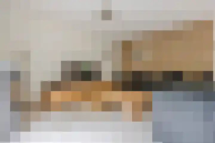 Mantelmeeuwstraat 5 Alkmaar thumbnail 16