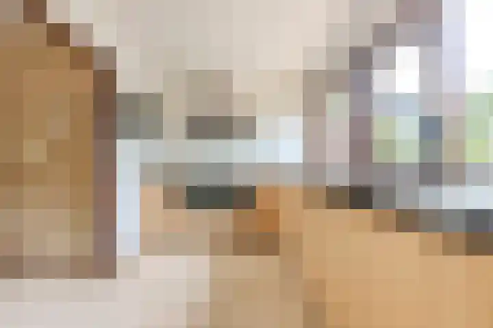 Mantelmeeuwstraat 5 Alkmaar thumbnail 18