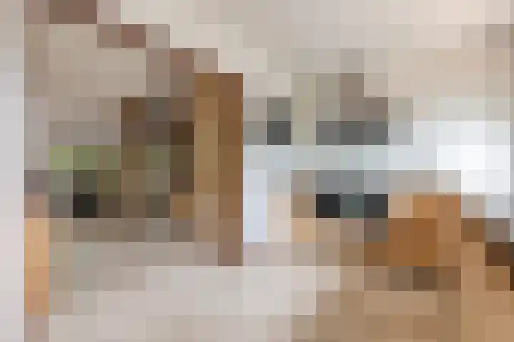 Mantelmeeuwstraat 5 Alkmaar thumbnail 20
