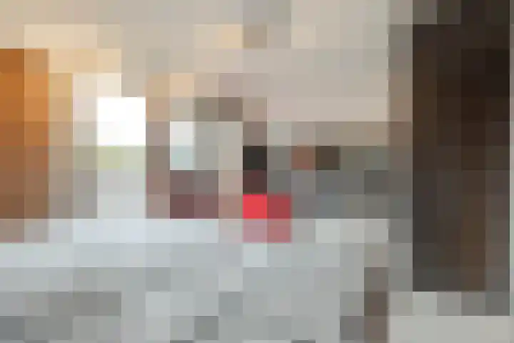 Mantelmeeuwstraat 5 Alkmaar thumbnail 27