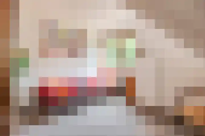 Mantelmeeuwstraat 5 Alkmaar thumbnail 32