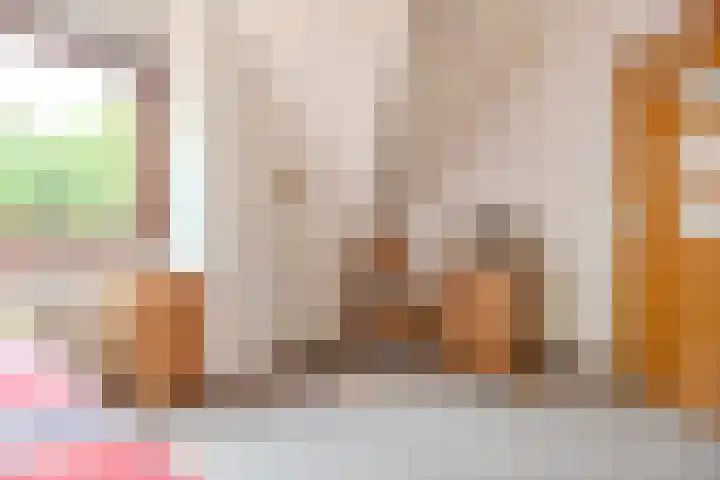 Mantelmeeuwstraat 5 Alkmaar thumbnail 33