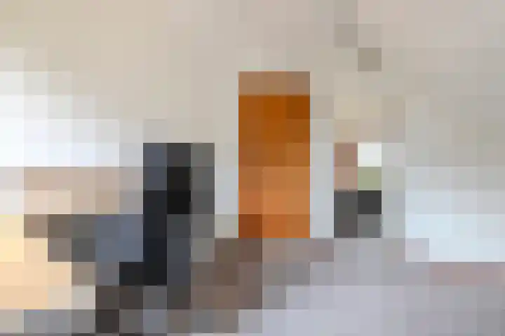 Mantelmeeuwstraat 5 Alkmaar thumbnail 37