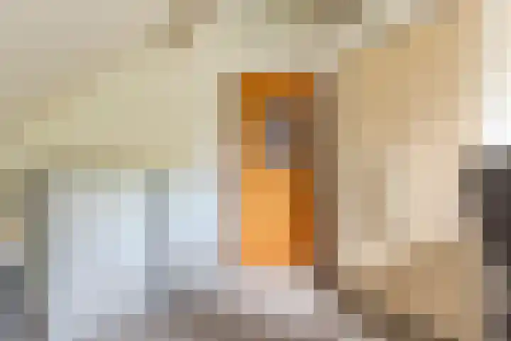 Mantelmeeuwstraat 5 Alkmaar thumbnail 39