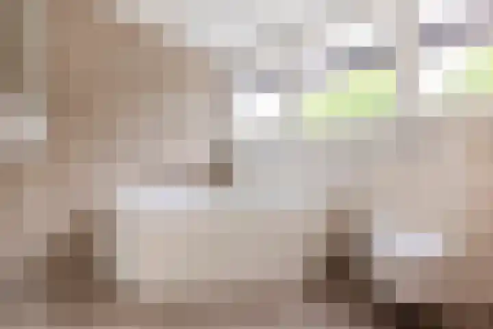 Mantelmeeuwstraat 5 Alkmaar thumbnail 41
