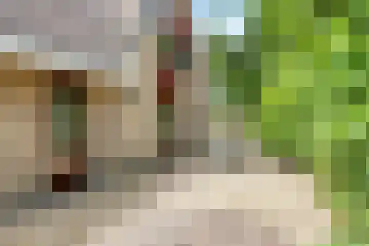 Mantelmeeuwstraat 5 Alkmaar thumbnail 43