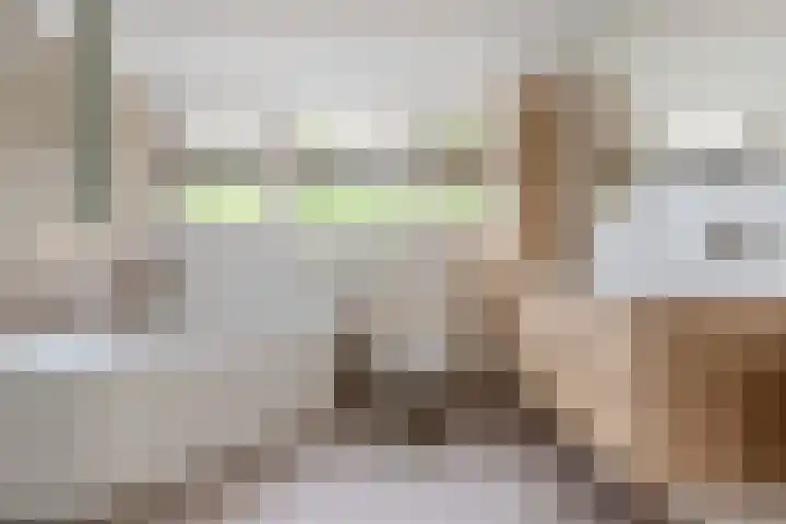 Mantelmeeuwstraat 5 Alkmaar thumbnail 5