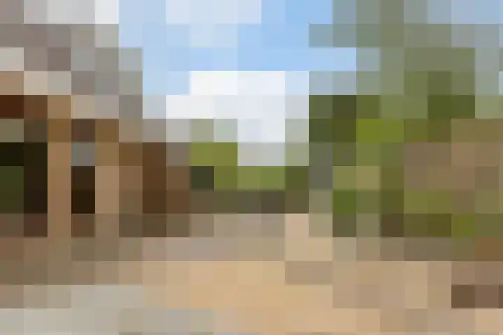 Mantelmeeuwstraat 5 Alkmaar thumbnail 6