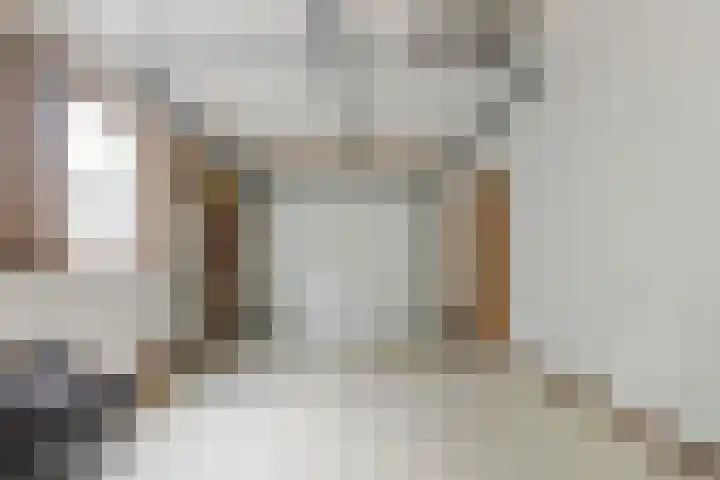 Mantelmeeuwstraat 5 Alkmaar thumbnail 9