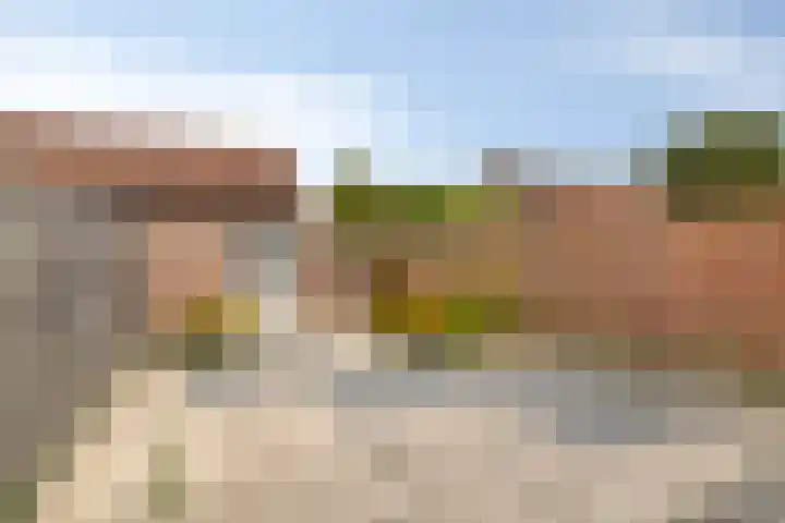 Mantelschelp 29 Hellevoetsluis thumbnail 25