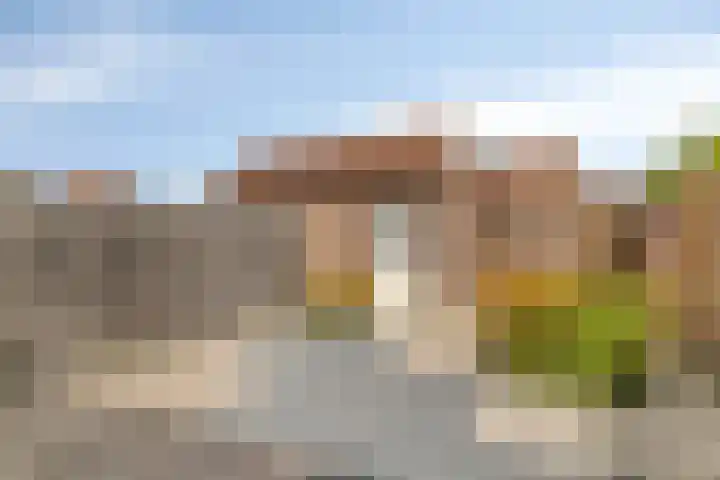 Mantelschelp 29 Hellevoetsluis thumbnail 26