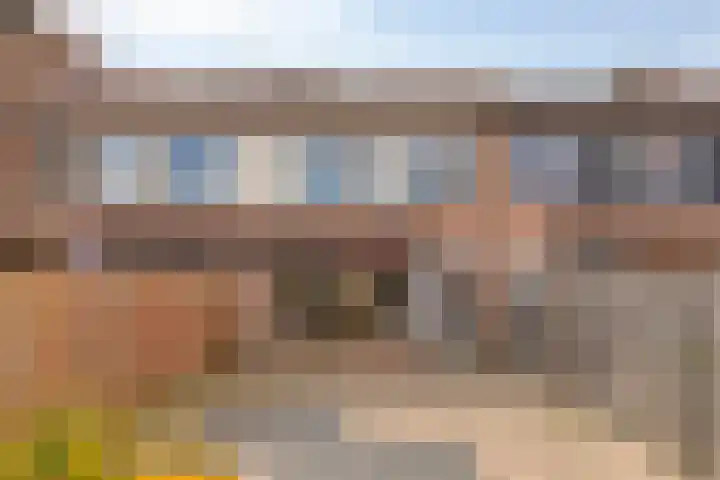 Mantelschelp 29 Hellevoetsluis thumbnail 28