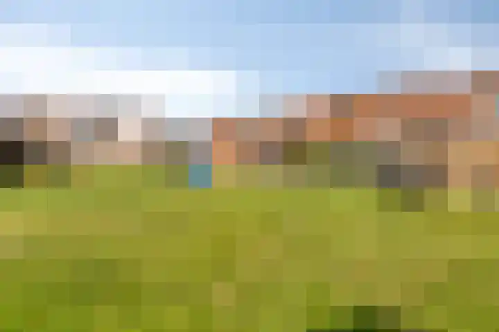 Mantelschelp 29 Hellevoetsluis thumbnail 29