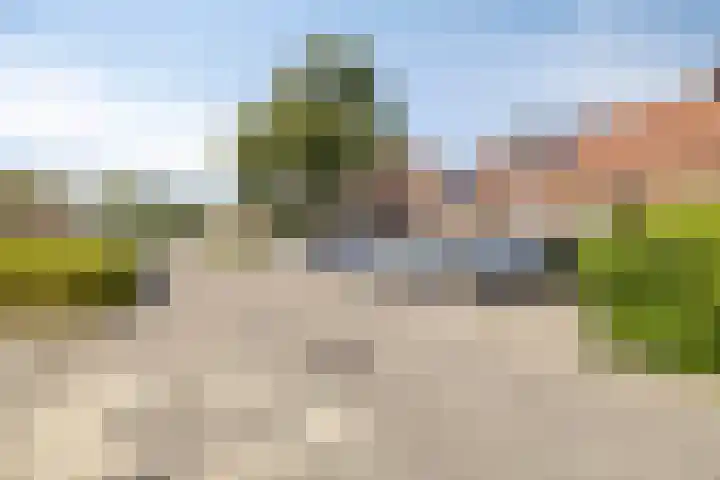 Mantelschelp 29 Hellevoetsluis thumbnail 4