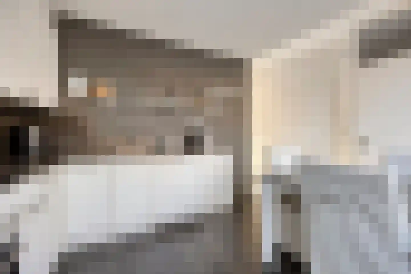 Mantelschelp 9 Hellevoetsluis thumbnail 11