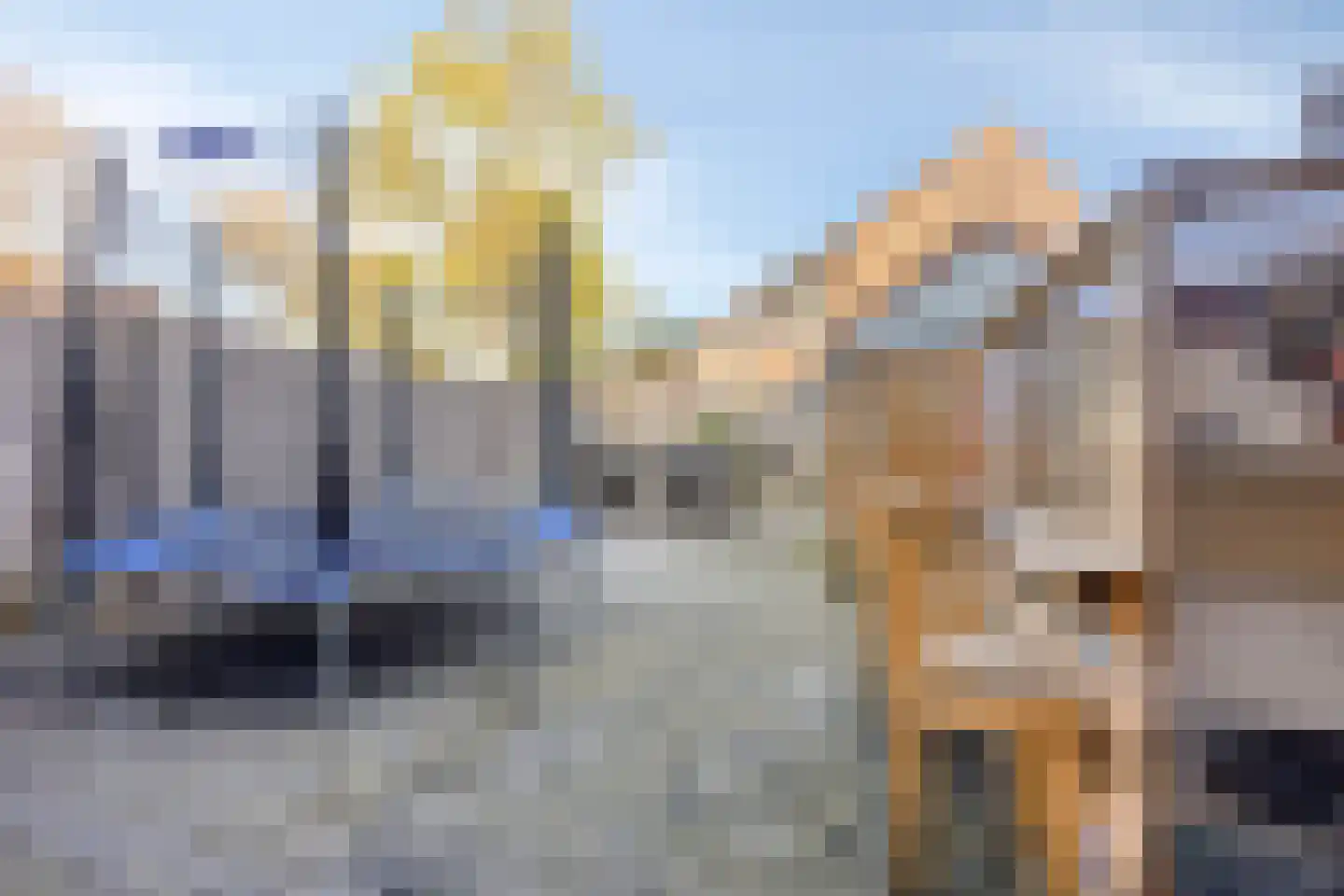 Mantelschelp 9 Hellevoetsluis thumbnail 4