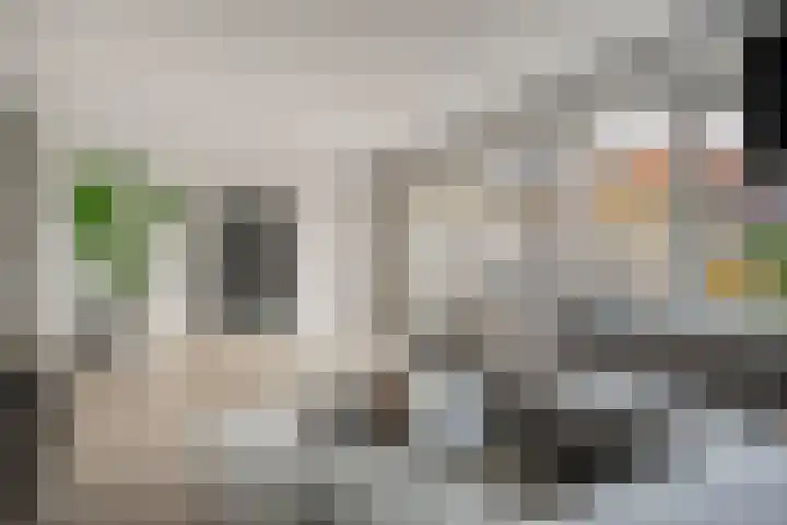 Mantelspeld 14 Dalfsen thumbnail 18