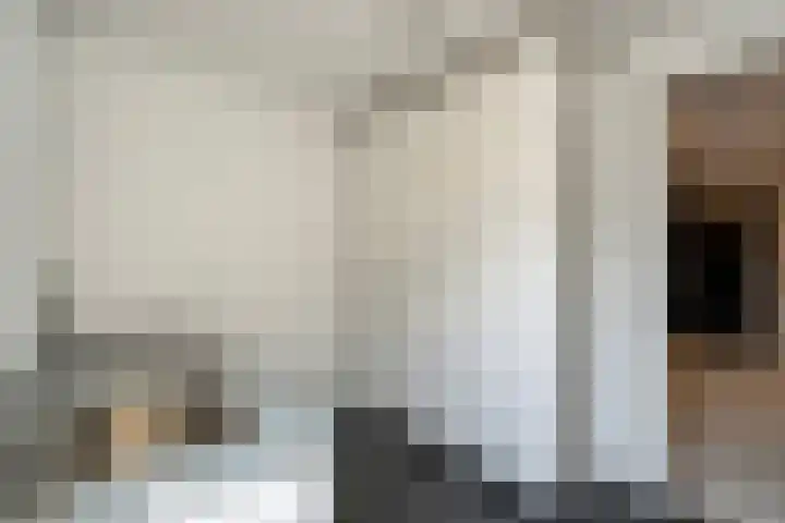 Mantelspeld 14 Dalfsen thumbnail 23