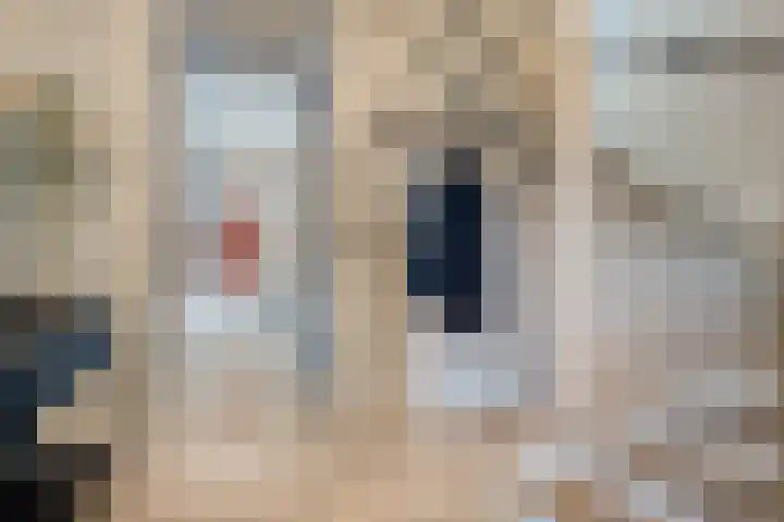 Mantelspeld 14 Dalfsen thumbnail 26