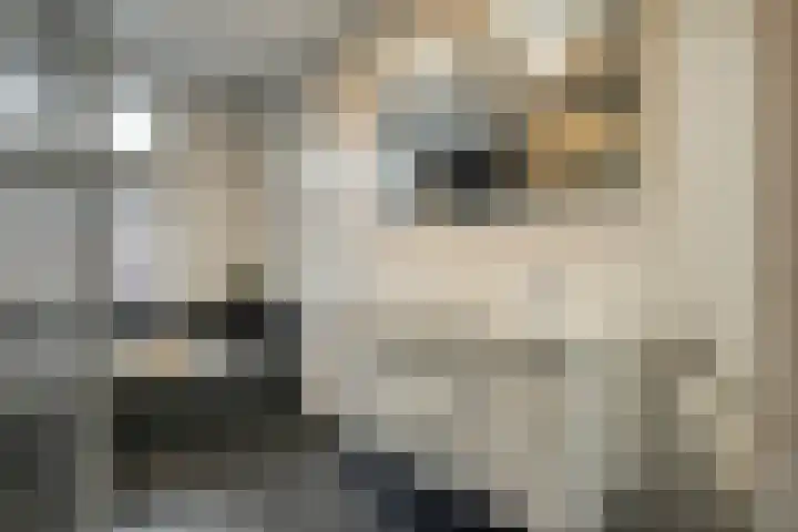 Mantelspeld 14 Dalfsen thumbnail 29