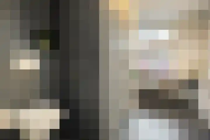 Mantelspeld 14 Dalfsen thumbnail 30