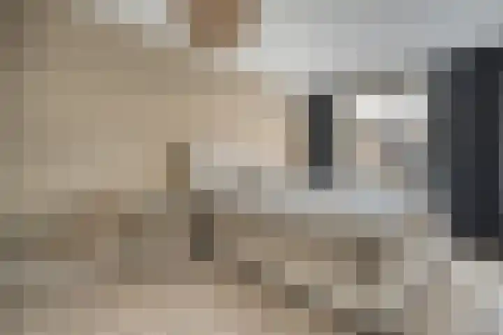 Mantelspeld 14 Dalfsen thumbnail 32