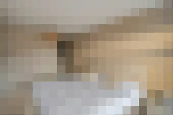 Mantelspeld 14 Dalfsen thumbnail 33