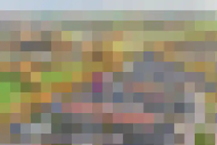Mantelspeld 14 Dalfsen thumbnail 4