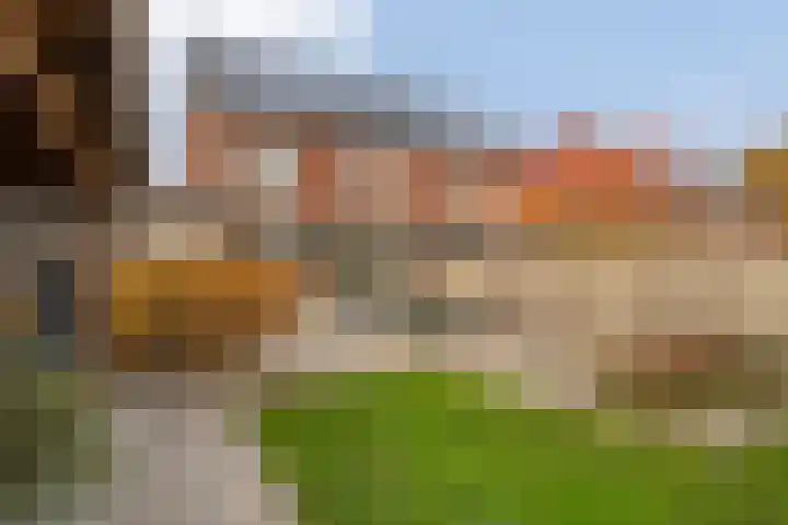 Mantelspeld 14 Dalfsen thumbnail 42