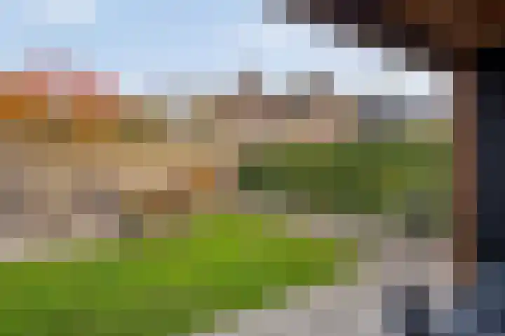 Mantelspeld 14 Dalfsen thumbnail 47