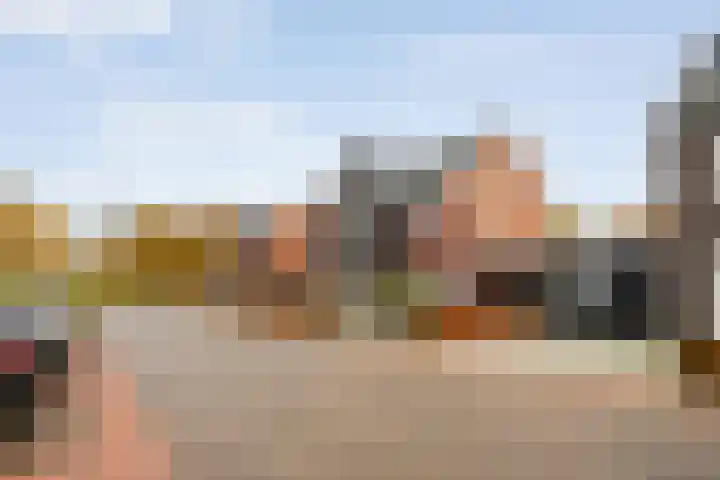 Mantelspeld 14 Dalfsen thumbnail 54