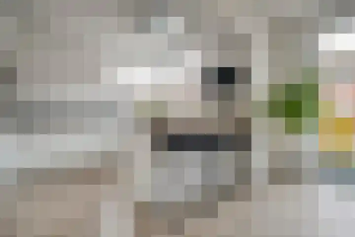 Mantelspeld 14 Dalfsen thumbnail 7