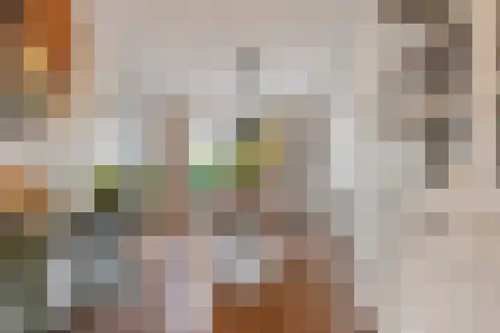 Mantet 14 Tiel thumbnail 11