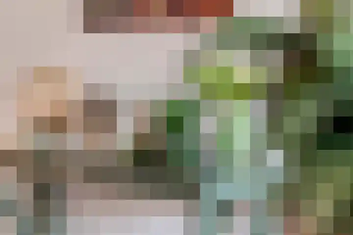 Mantet 14 Tiel thumbnail 13