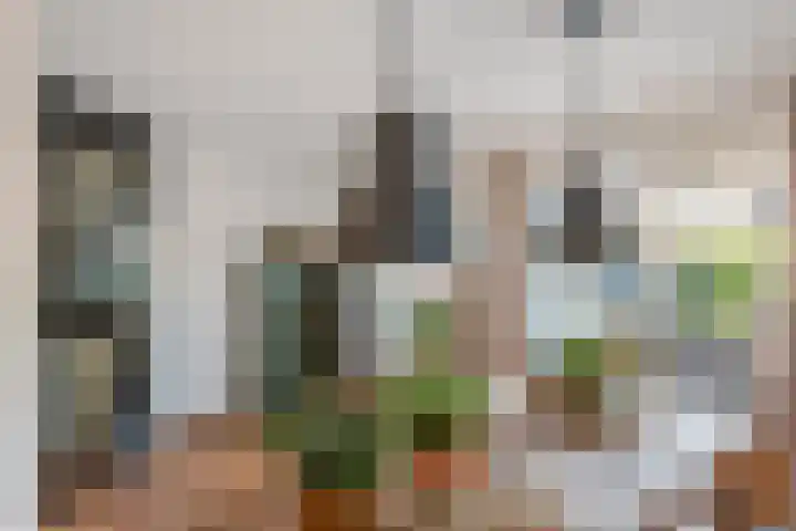 Mantet 14 Tiel thumbnail 14