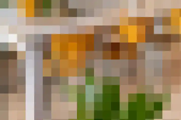Mantet 14 Tiel thumbnail 17