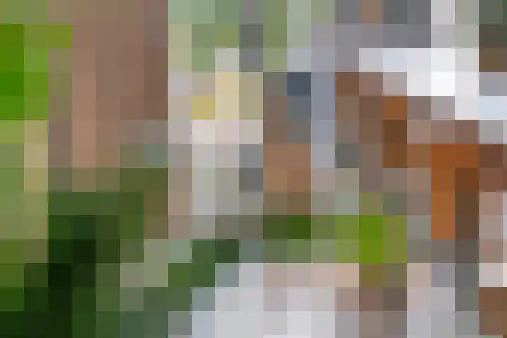 Mantet 14 Tiel thumbnail 18