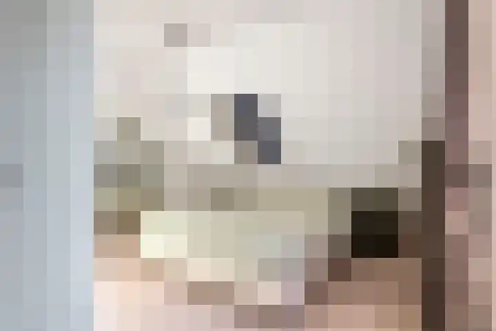 Mantet 14 Tiel thumbnail 31