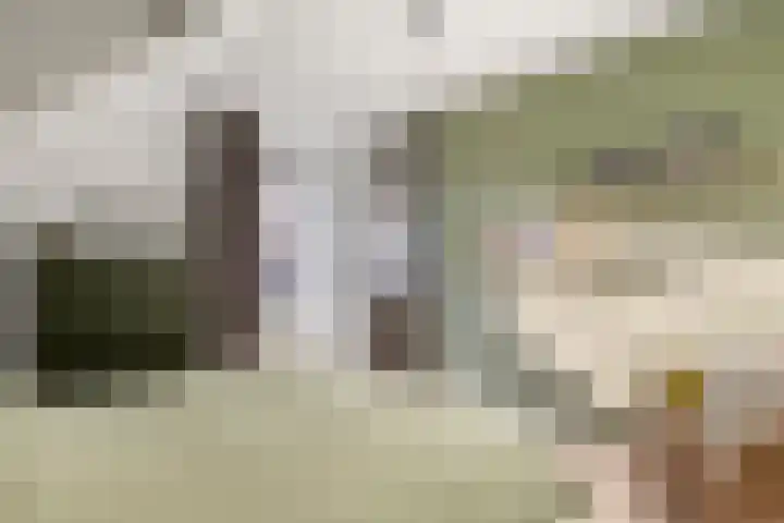 Mantet 14 Tiel thumbnail 32