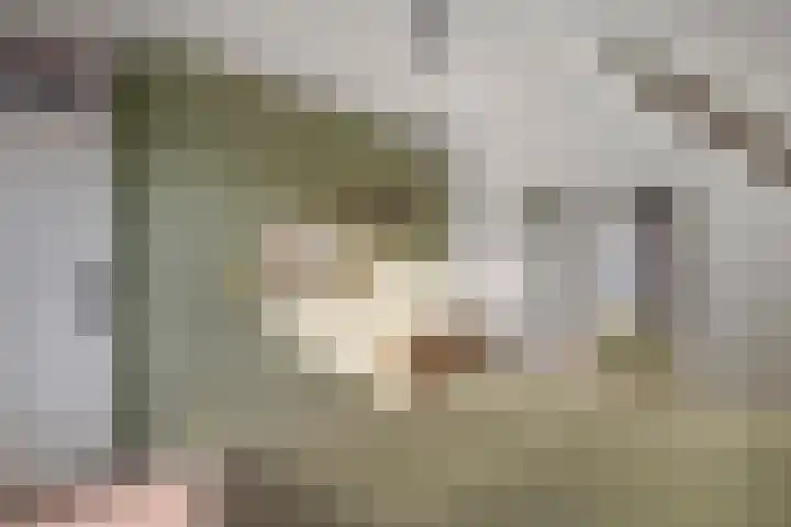 Mantet 14 Tiel thumbnail 33