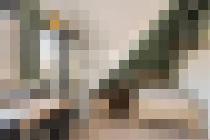 Mantet 14 Tiel thumbnail 34