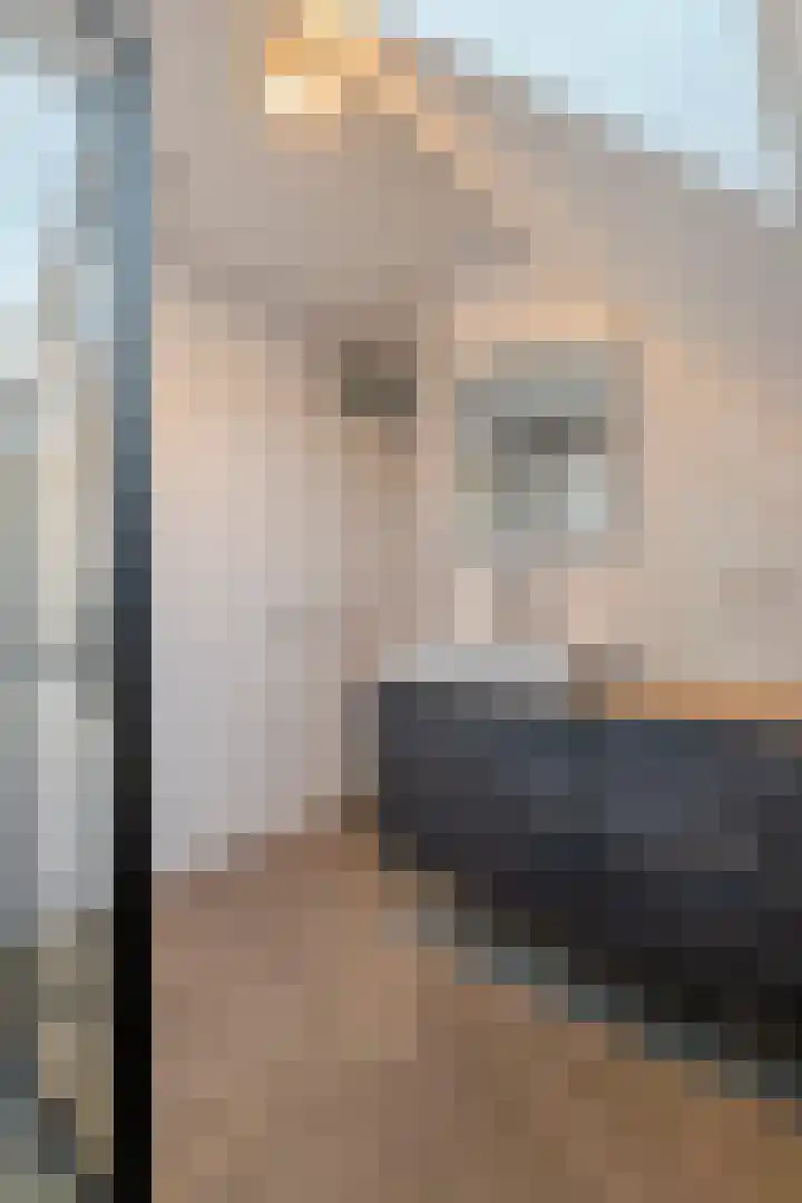 Mantet 14 Tiel thumbnail 39