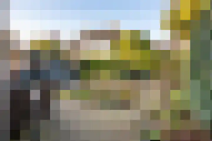 Mantet 14 Tiel thumbnail 47