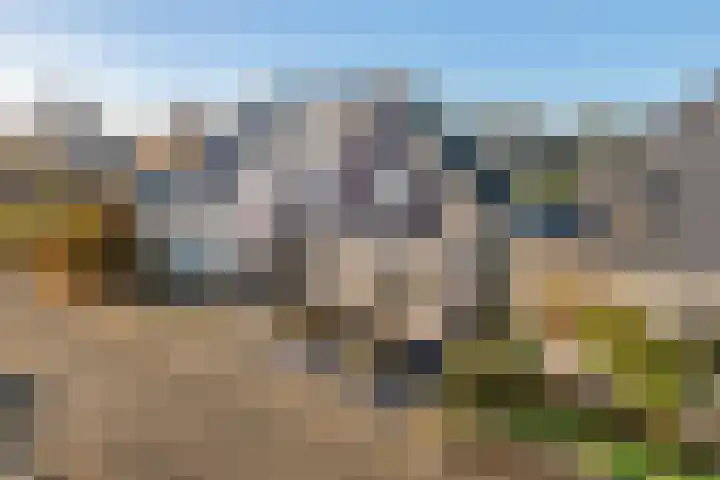 Mantet 14 Tiel thumbnail 50