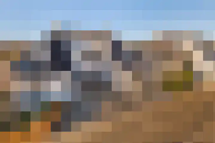 Mantet 14 Tiel thumbnail 51