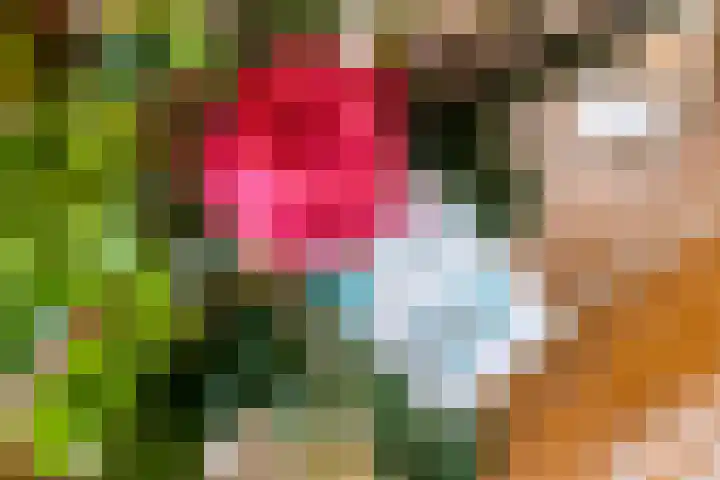 Mantet 14 Tiel thumbnail 53