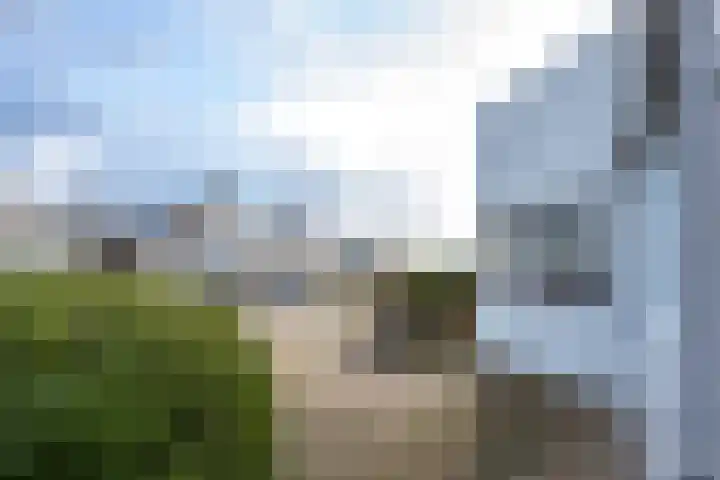 Mantet 18 Tiel thumbnail 10