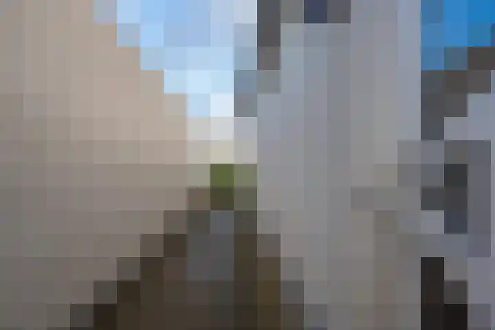 Mantet 18 Tiel thumbnail 12