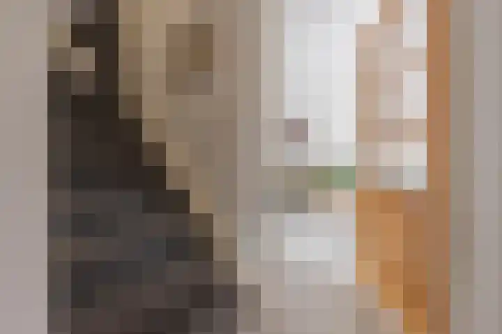 Mantet 18 Tiel thumbnail 14